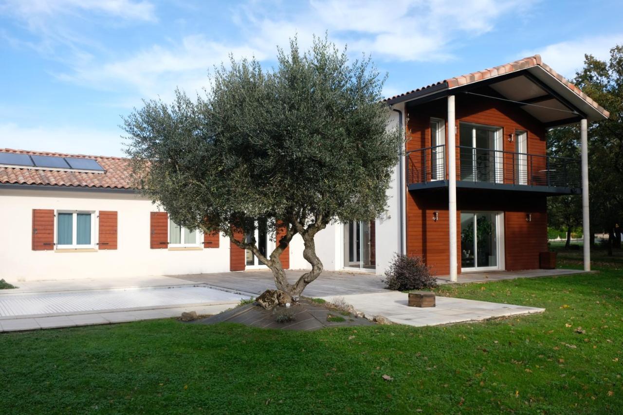 La Planette Bed & Breakfast Aussonne Dış mekan fotoğraf