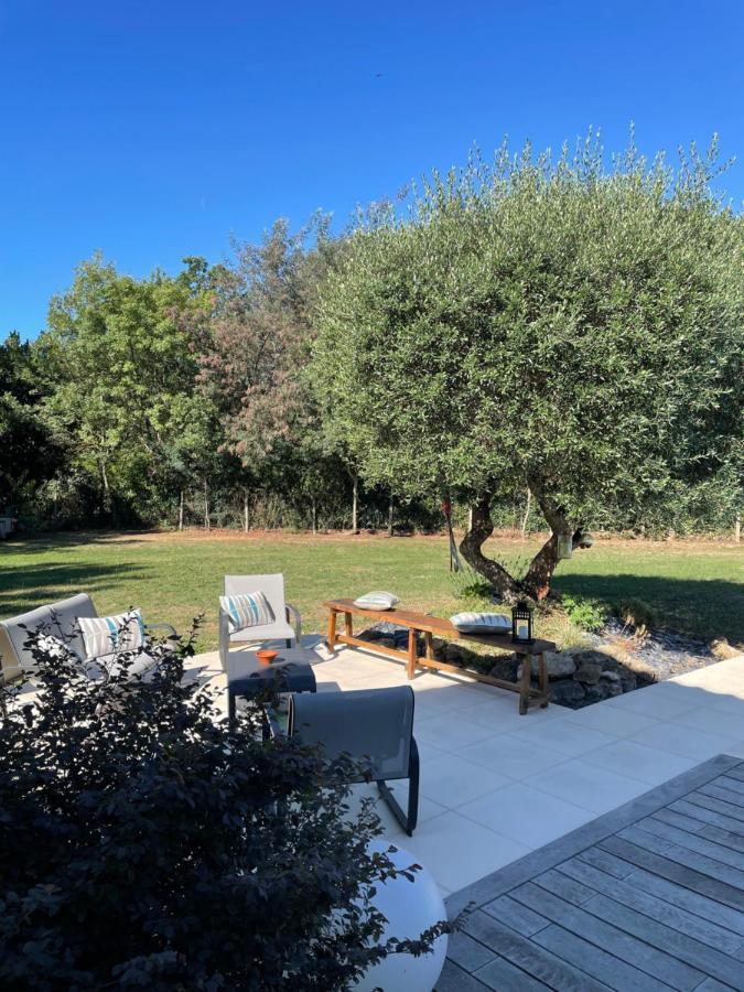 La Planette Bed & Breakfast Aussonne Dış mekan fotoğraf